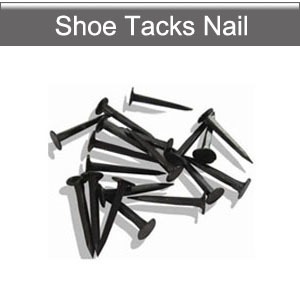 Shoe tacks nail