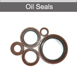 Oil seal