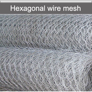 Hexagonal wire mesh